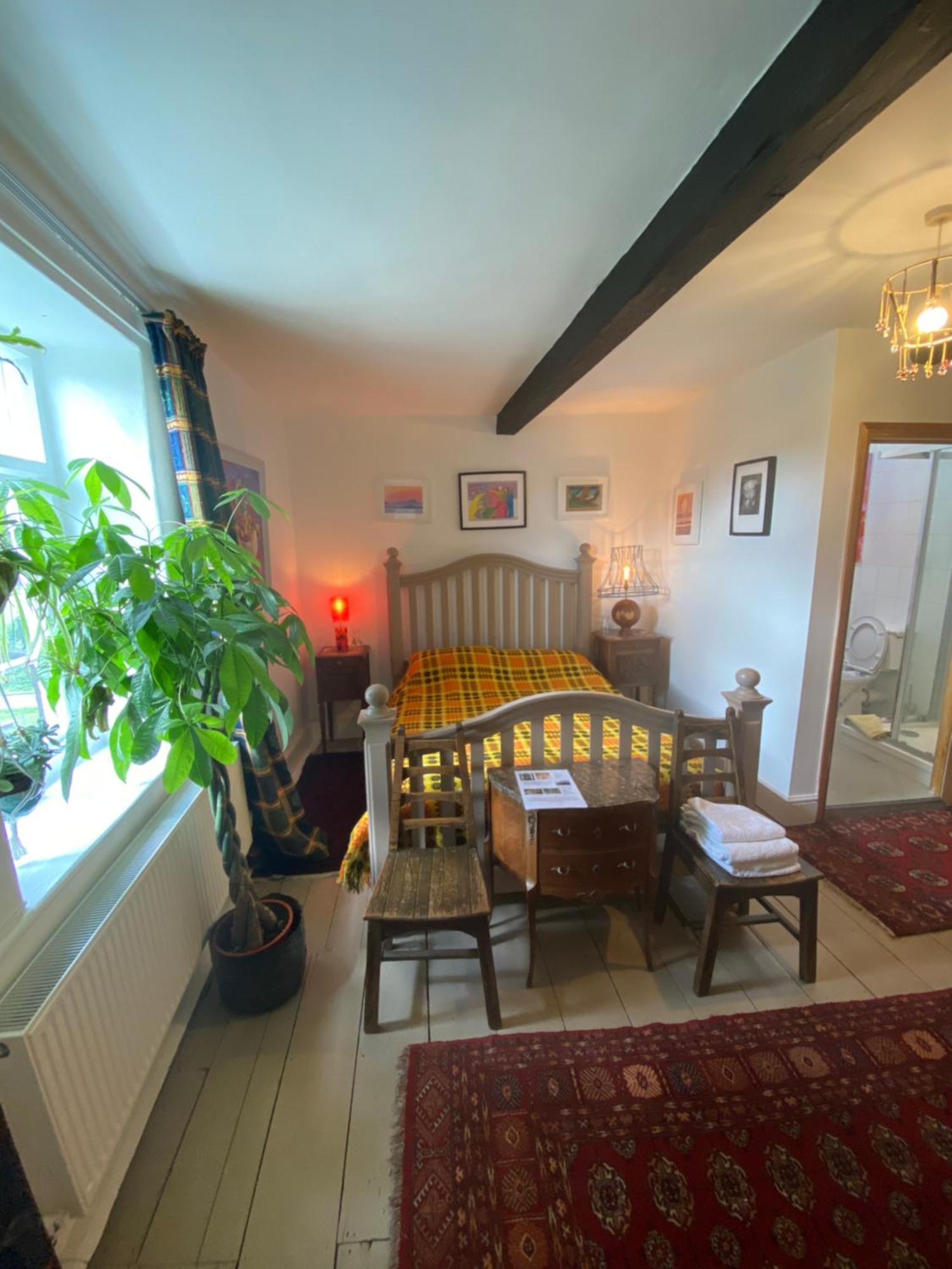 Art House B & B Raglan Szoba fotó